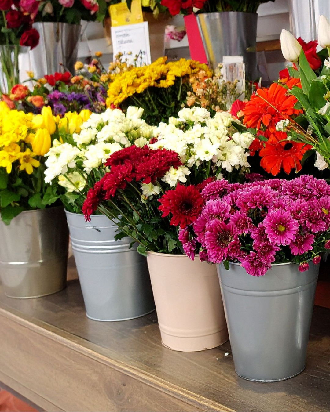 Untitled design (12)